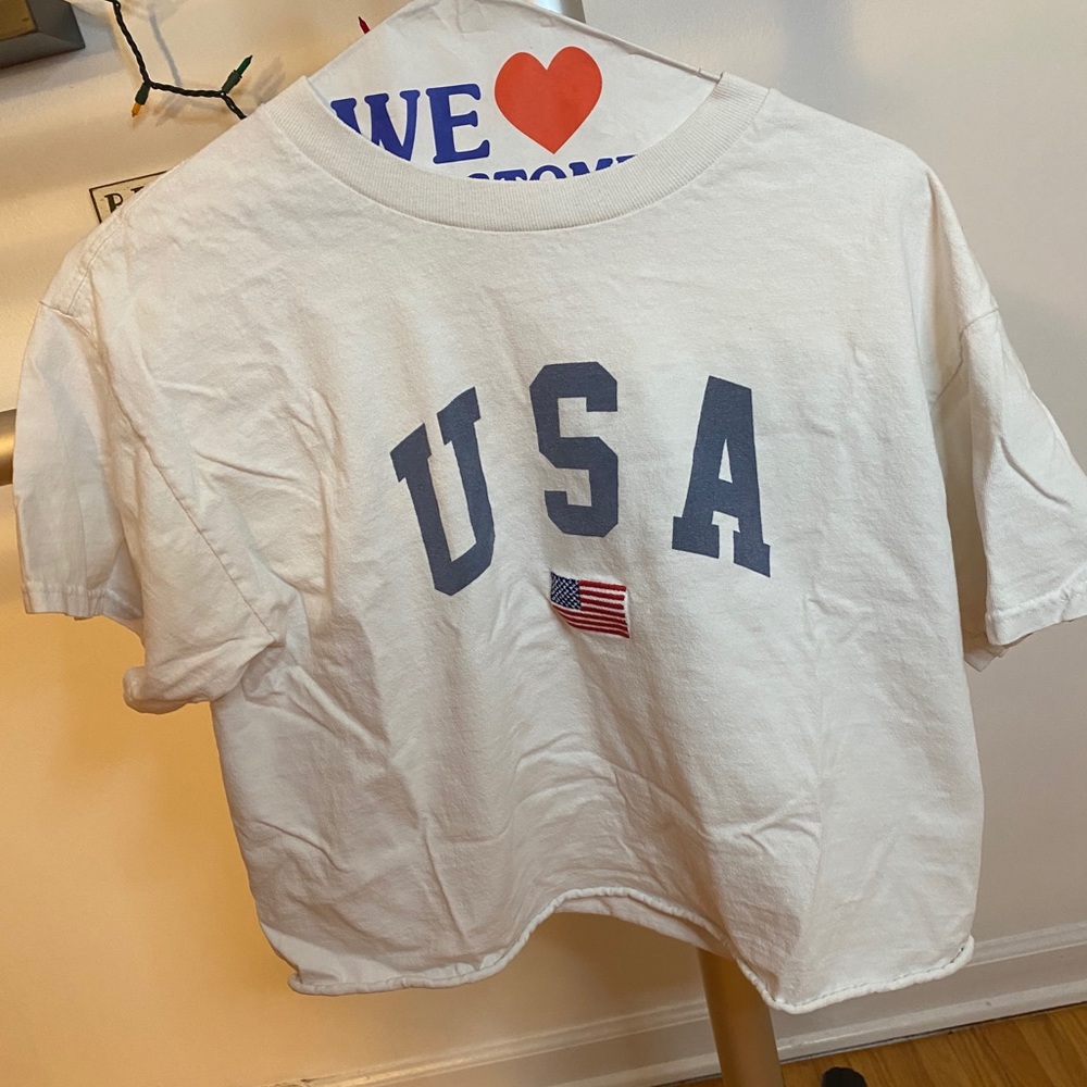 Brandy Melville USA cropped tee